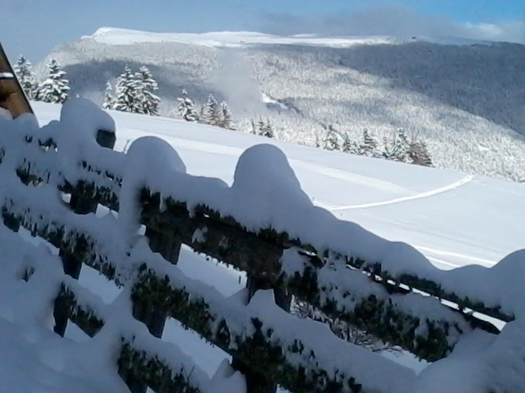 Garni Kostner Hotel โอติเซ ภายนอก รูปภาพ